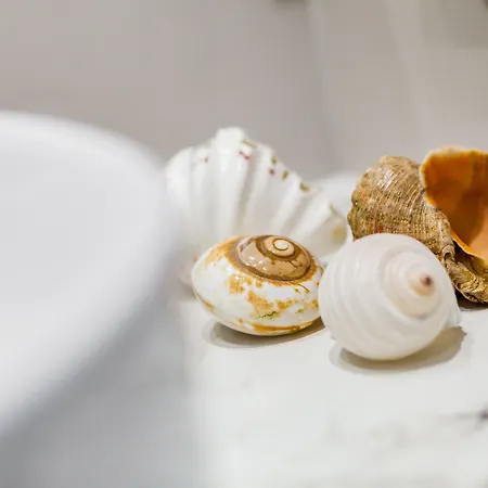 Apartment Happy Monte Cassino 40 *