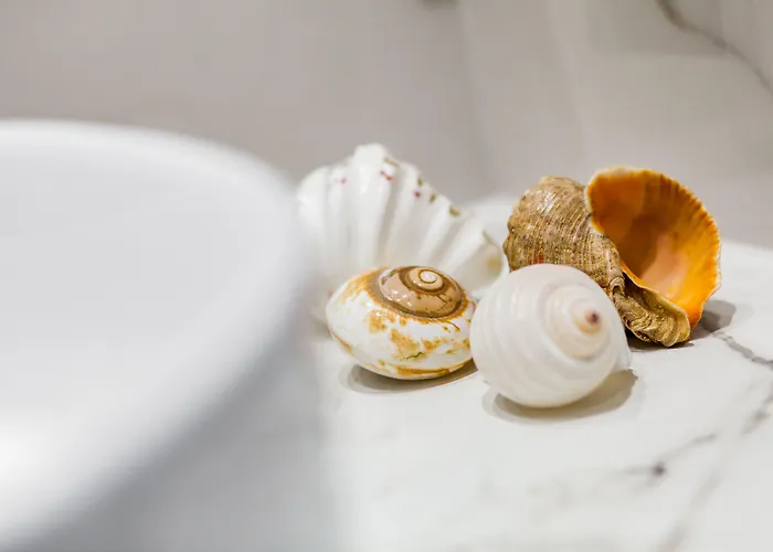 Apartament Happy Monte Cassino 40 *